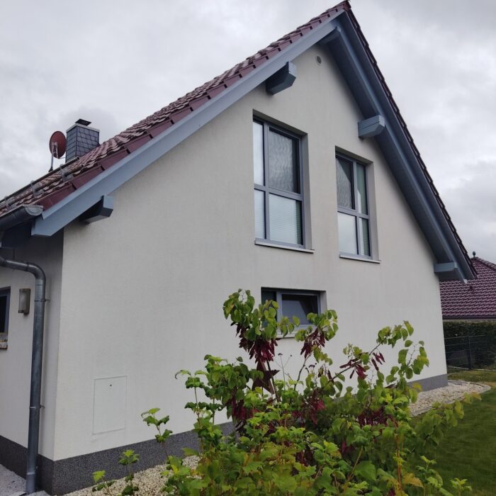 Dachverschalung Renovierung