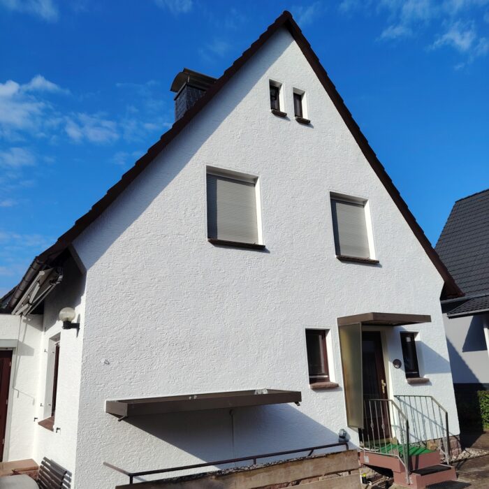 Komplettaufbau mit Reinigung, Grundierung, Fassadenfarbe (2)