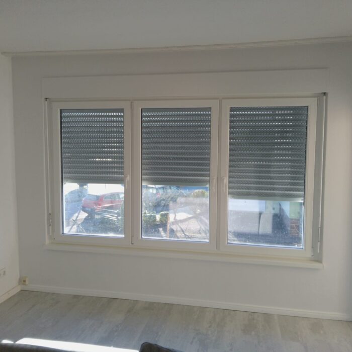 Schimmelpilz Sanierung