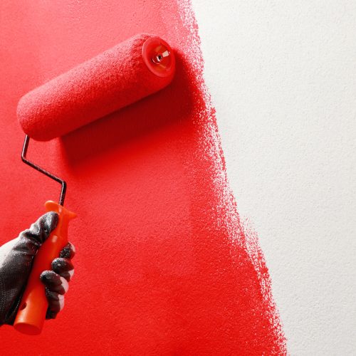 Roller Brush Painting, Worker painting on surface wall  Painting apartment, renovating with red color  paint. Leave empty copy space white to write descriptive text beside.